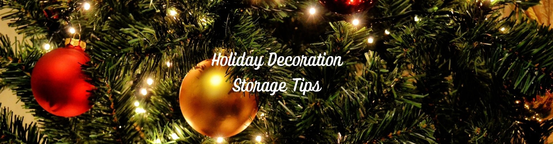 Holiday Decoration Storage Milton DE